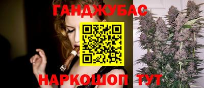 тгк Бердск
