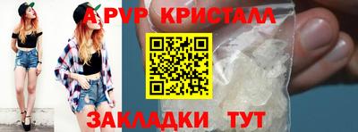 тгк Бердск